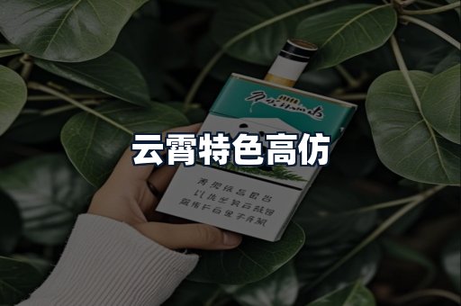 云霄特色高仿